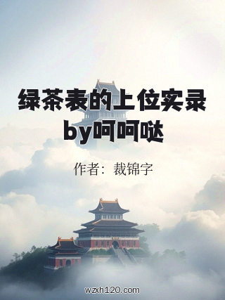 绿茶表的上位实录by呵呵哒