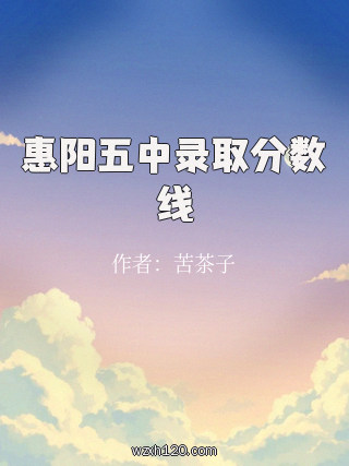 惠阳五中录取分数线