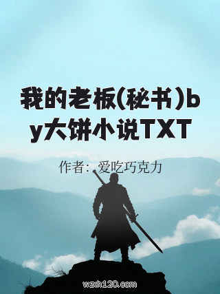 我的老板(秘书)by大饼小说TXT