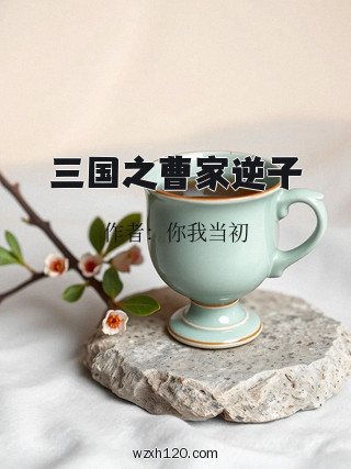 三国之曹家逆子