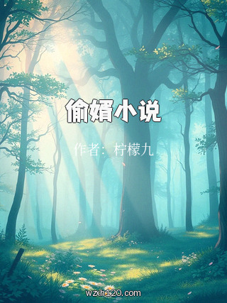 偷婿小说