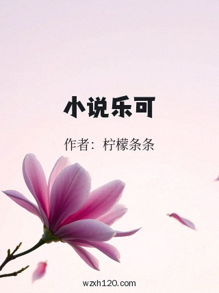 小说乐可
