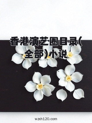 香港演艺圈目录(全部)小说