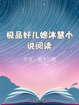 极品好儿媳沐慧小说阅读