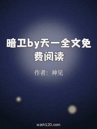 暗卫by天一全文免费阅读