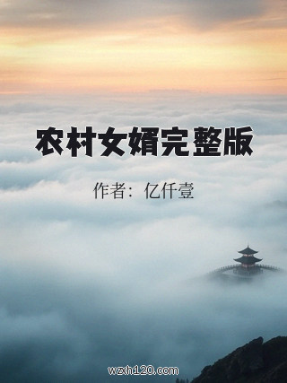 农村女婿完整版