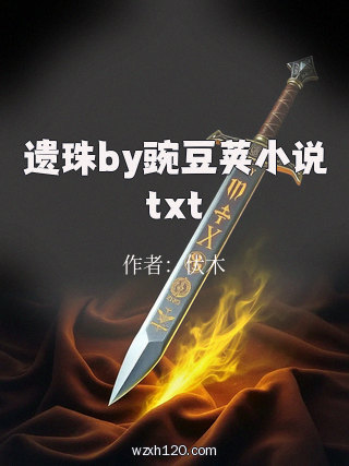 遗珠by豌豆荚小说txt