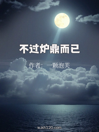 不过炉鼎而已