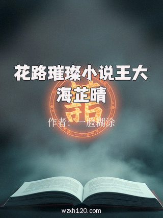花路璀璨小说王大海芷晴