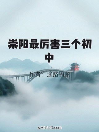 崇阳最厉害三个初中