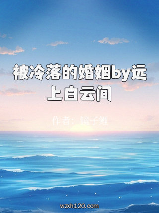 被冷落的婚姻by远上白云间