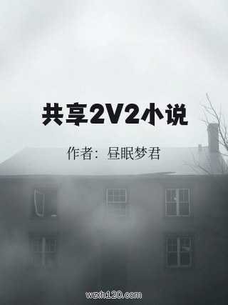 共享2V2小说
