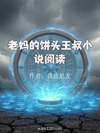 老妈的饼头王叔小说阅读
