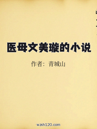 医母文美璇的小说