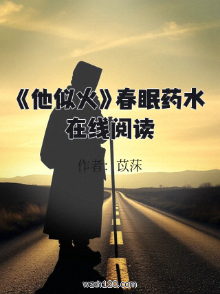 《他似火》春眠药水在线阅读