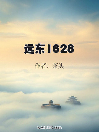 远东1628