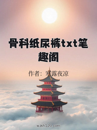 骨科纸尿裤txt笔趣阁