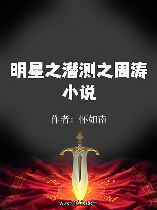 明星之潜测之周涛小说