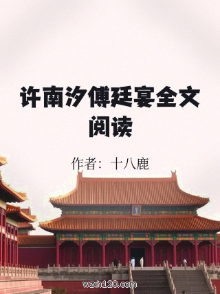 许南汐傅廷宴全文阅读