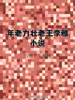年老力壮老王李雅小说