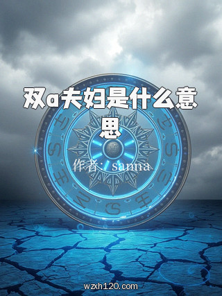 双a夫妇是什么意思