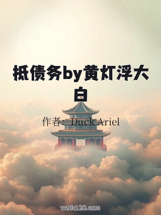 抵债务by黄灯浮大白