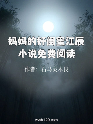 妈妈的好闺蜜江辰小说免费阅读