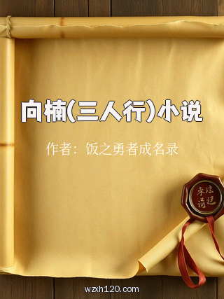 向楠(三人行)小说
