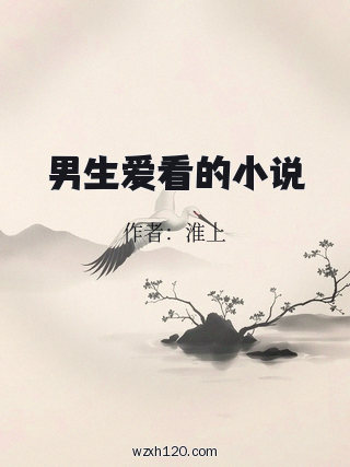 男生爱看的小说