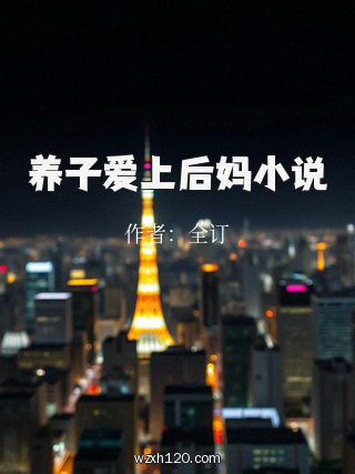 养子爱上后妈小说