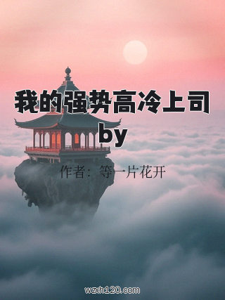 我的强势高冷上司by