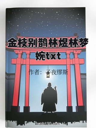金枝别鹊林煜林梦婉txt