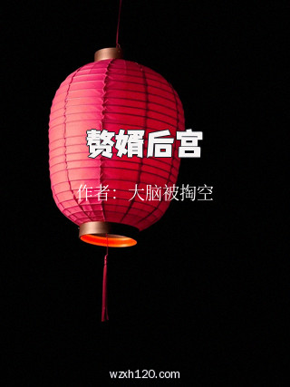 赘婿后宫