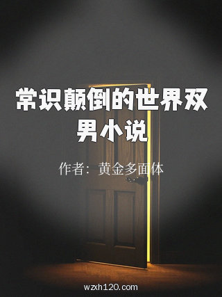 常识颠倒的世界双男小说