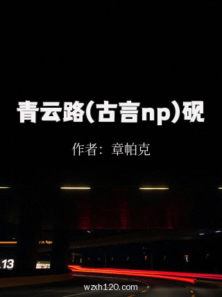 青云路(古言np)砚