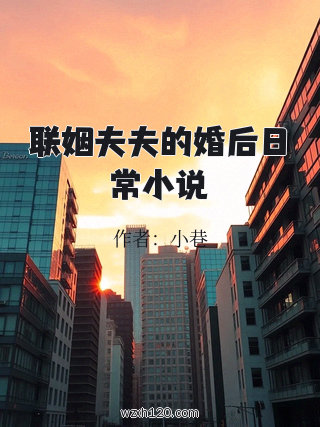 联姻夫夫的婚后日常小说
