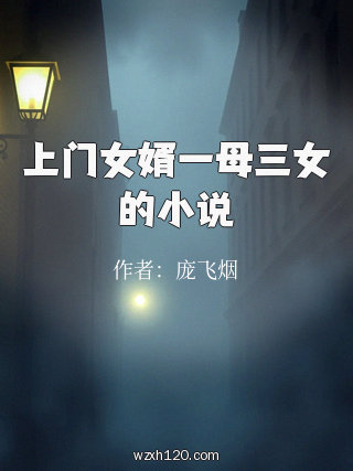 上门女婿一母三女的小说