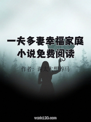 一夫多妻幸福家庭小说免费阅读