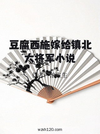 豆腐西施嫁给镇北大将军小说