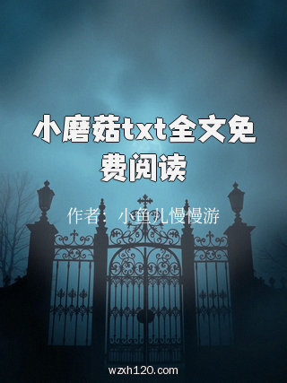 小磨菇txt全文免费阅读