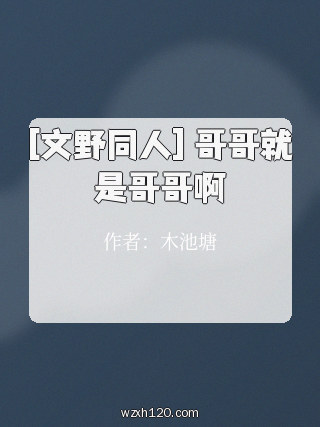 [文野同人] 哥哥就是哥哥啊