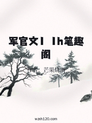 军官文1ⅴ1h笔趣阁