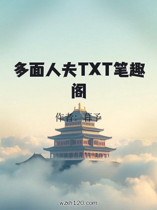 多面人夫TXT笔趣阁