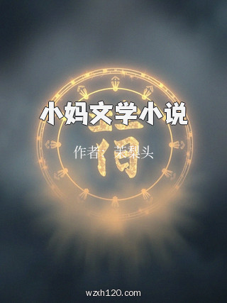 小妈文学小说