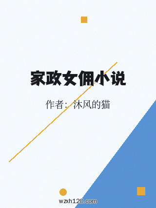 家政女佣小说