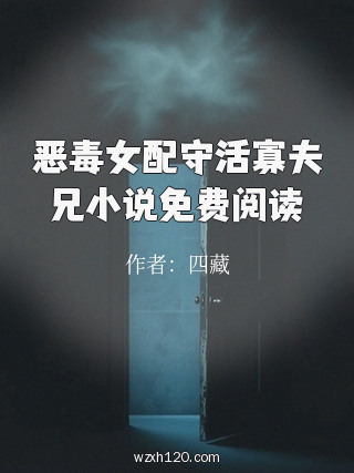 恶毒女配守活寡夫兄小说免费阅读