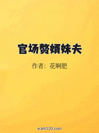 官场赘婿妹夫