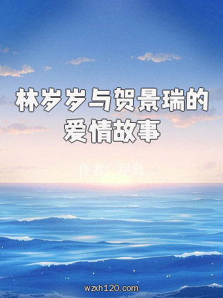 林岁岁与贺景瑞的爱情故事