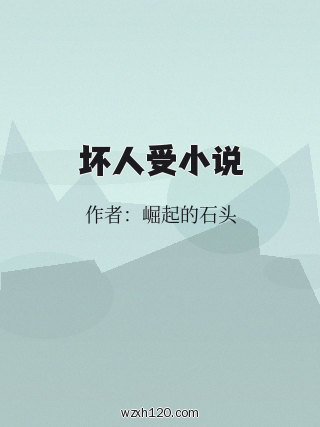 坏人受小说