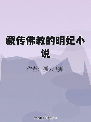 藏传佛教的明妃小说
